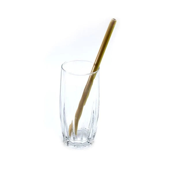 Bamboo natural straws (pack of 4) with cleaner